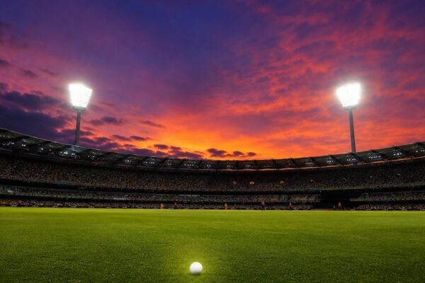 David Warner