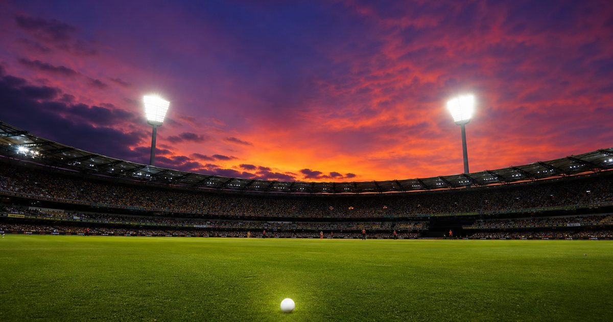 David Warner